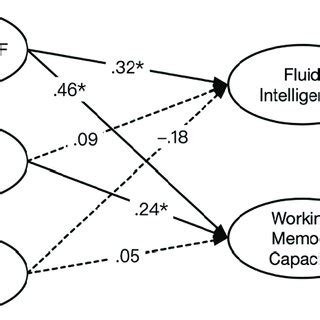 The prediction of fluid intelligence and working memory capacity with ...