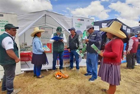 Familias Rurales De Cajamarca Mejoran Sus Ingresos Y Salen De La