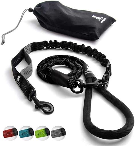 Best Leash For Dogs That Pull Reviews 2022 Choose Right Leash