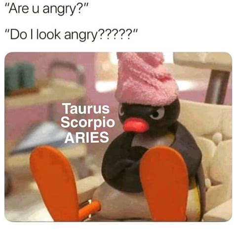 55 Funny Aries Memes Zodiac Season From March 21 To April 19
