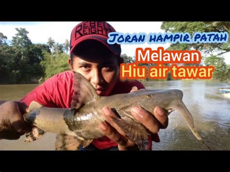 REKOR MURI MANCING BAUNG ASKAR Atau Ikan Kenderak YouTube