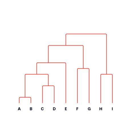 Dendrogram | Data Viz Project