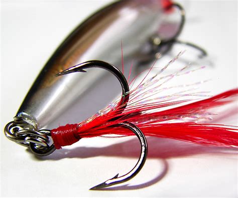lure | Flickr - Photo Sharing!