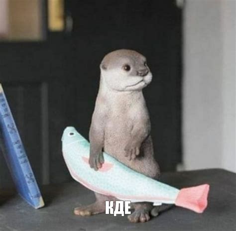 Создать мем "детеныш выдры, декоративная выдра, домашняя выдра ...