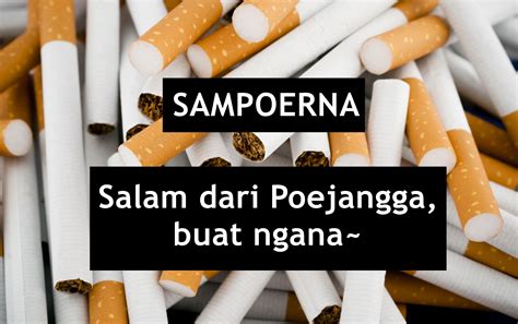 38 Inspirasi Kata Lucu Rokok Sampoerna Terbaru Kumpulan Kata Kata Keren