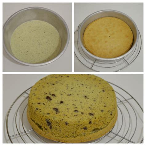 Naked Chocolate Drip Cake Ilaria Zizza