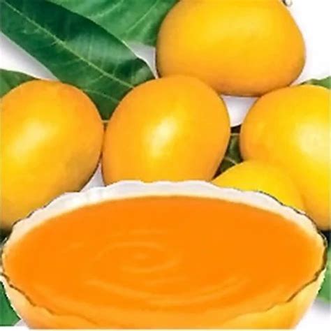 Fruits Pulps And Concentrates Frozen Mango Manufacturer From Mumbai