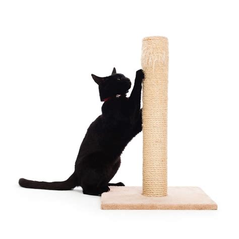 Nusa Qudrat Enterprise Cat Scratching Posts