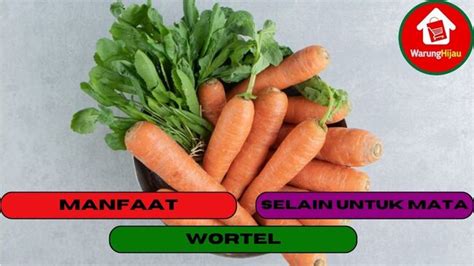 Warunghijau 10 Manfaat Dari Wortel Selain Untuk Mata