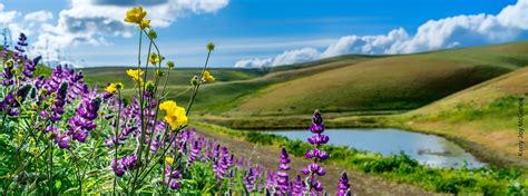 open space tri valley conservancy