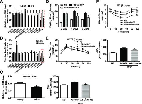 Hepatic Lncshgl Overexpression Improved Glucose Intolerance And Insulin