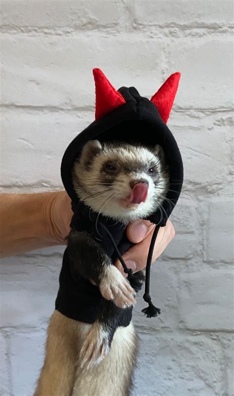 Devil's Amazing Ferret Costume. Ferret Costume Ferret | Etsy