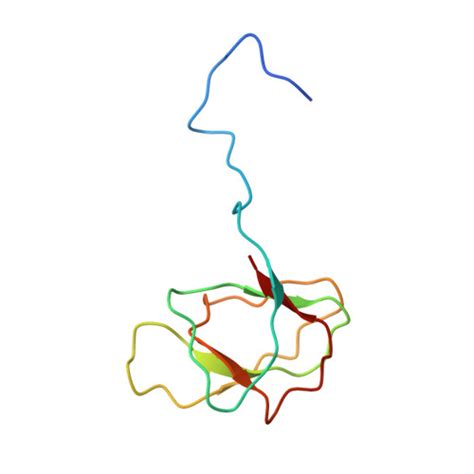 RCSB PDB 8CJZ Carin1 Bacteriophage Mature Capsid