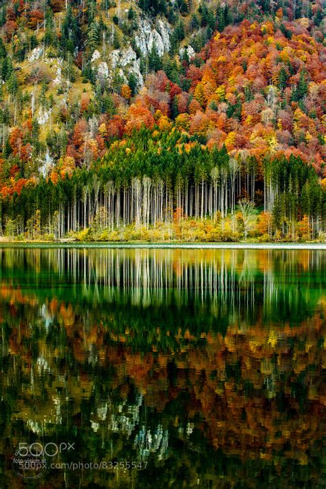 Best Gerhard Images On Pholder Formula Museum And F Porn