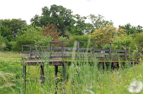 Grange Farm Centre Chigwell Essex