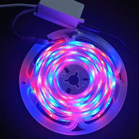 Jual Lampu Strip LED RGB 5 Meter Light LED Strip Remot Lampu LED