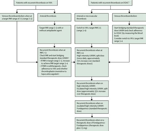 Management Of Anticoagulant Refractory Thrombotic Antiphospholipid