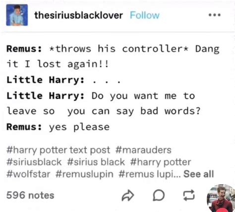 Pin By Celia Jackson On Harry Potter In 2025 Harry Potter Funny Gay Harry Potter Harry