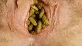 BSF Maggot Play Women Naked With Insects MOTHERLESS