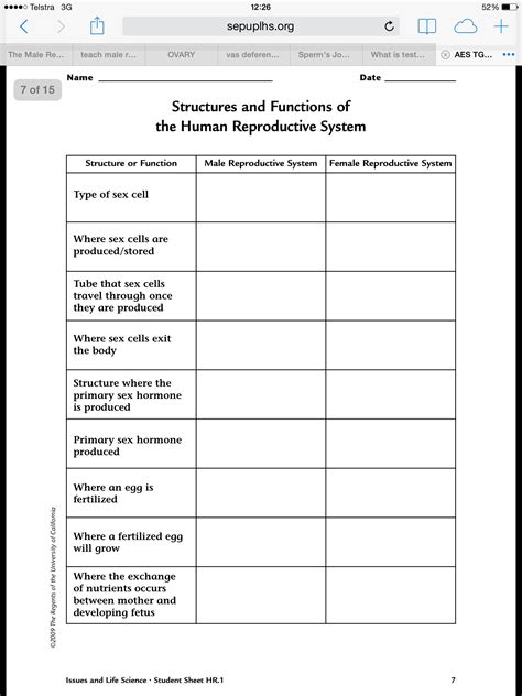 Lesson Plan Sexual Reproduction Systems And Good Compare Activity Male Vs Female System