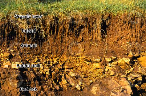 Soil Cross Section Soil Cross Section Types Of Soil Structure