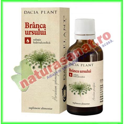 Tinctura Branca Ursului 50ml Dacia Plant Naturasanatro