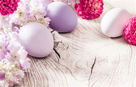 Wallpaper flowers, eggs, spring, Easter, flowers, spring, Easter, eggs, decoration, Happy images ...