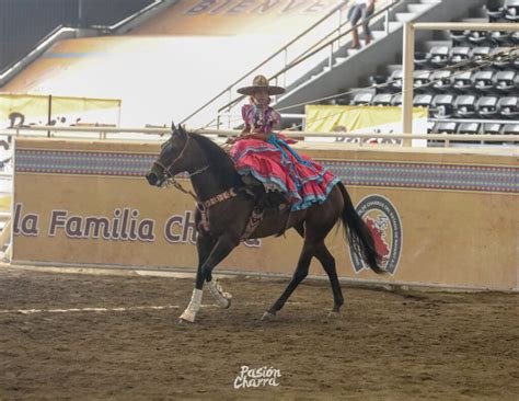 Todo Listo Para La Feria De Escaramuzas Fiesta Charra Este Domingo