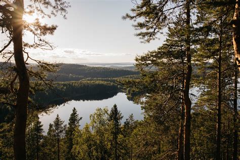 Finnish Lakeland - Unique Nature Experiences - Visit Lakeland Finland