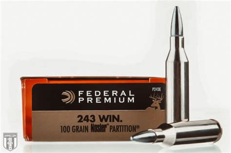 243 Ammo Bullets