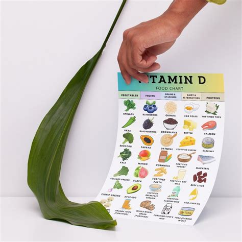 Vitamin D Food List Printable PDF, High Vitamin D Grocery List, High