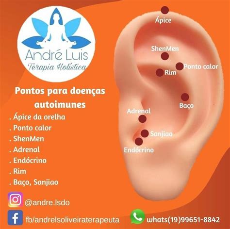 Autoimunes Reflexologia Da Orelha Pontos Acupuntura Orelha