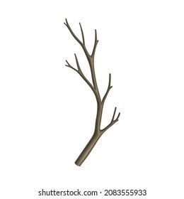 Bare Tree Branch Twigs Naked Stem Stock Vector Royalty Free Shutterstock