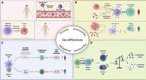 Sex And Cancer Immunotherapy Current Understanding And Challenges Cancer Cell
