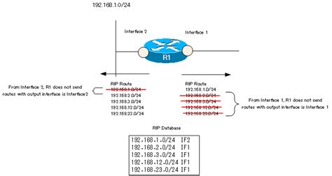 rip split horizon ip routing basic  study