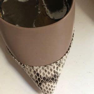 Lanvin Shoes Lanvin Nude Pumps With Snakeskin Details Poshmark