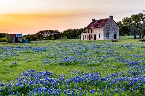 Best Places To See Bluebonnets In Texas