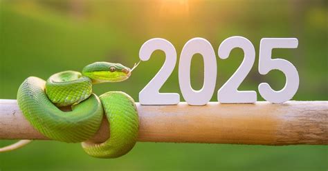 Календарь удачи: благоприятные и неблагоприятные дни 2025 года ...