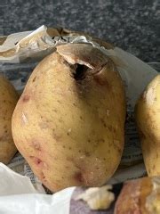 What The Fuck Got Into My Potatoes Mumsnet