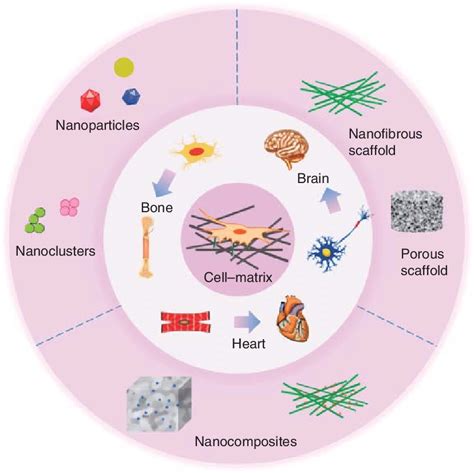 2 A Range Of Nanobiomaterials Emerging For Tissue Regeneration Eg