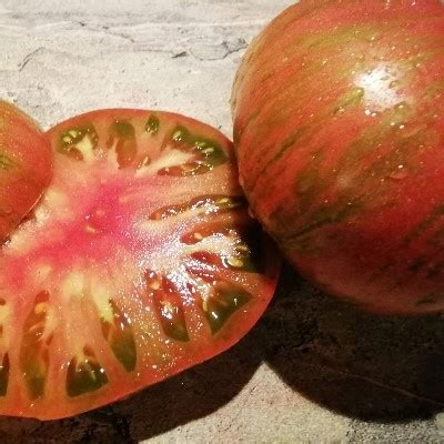 Томат Гном Металлика: описание сорта помидоров, характеристики ...