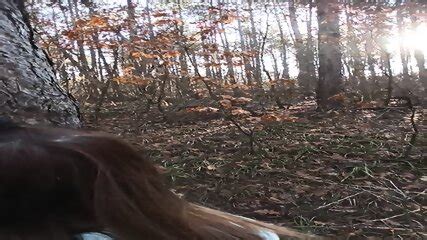 Public Sex In Forest