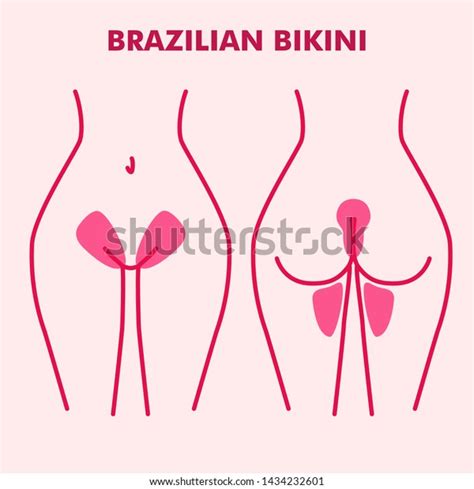 Scheme Areas Hair Removal Brazilian Bikini Stock Vector Royalty Free