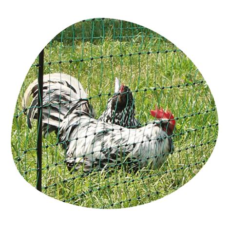 Fencing - The Poultry Centre