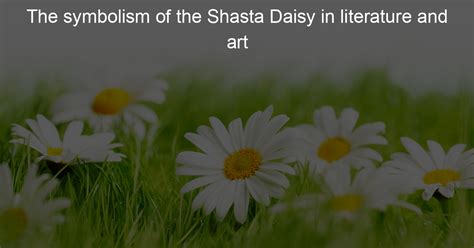 The symbolism of the Shasta Daisy in literature and art - My Lovely Daisy