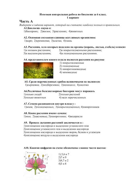 Цветок Биология 6 Класс Контрольная Работа — Контрольные, курсовые ...