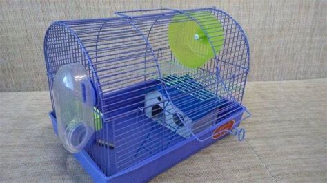 Клетка для сирийского хомяка: размеры, виды, фото, делаем правильный выбор