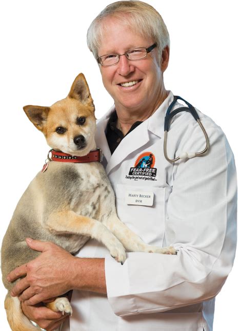 dog food advisor home facebook