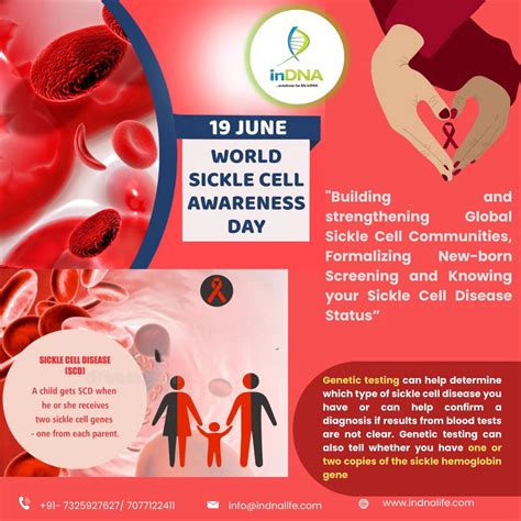 Indna Life Sciences Private Limited On Linkedin Sicklecell
