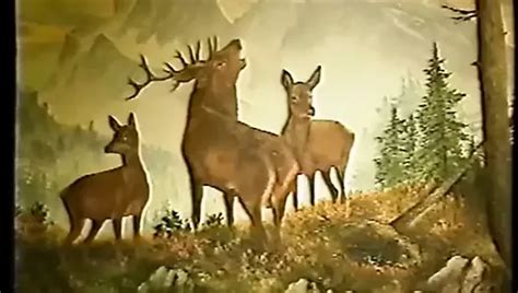 Heidi 3 Free Hardcore German Porn Video 3f XHamster